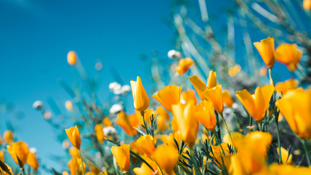 雑談がうまくなる会話の「型」